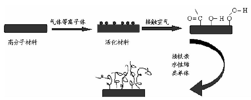 图 1-1 等离子体引发接枝示意图