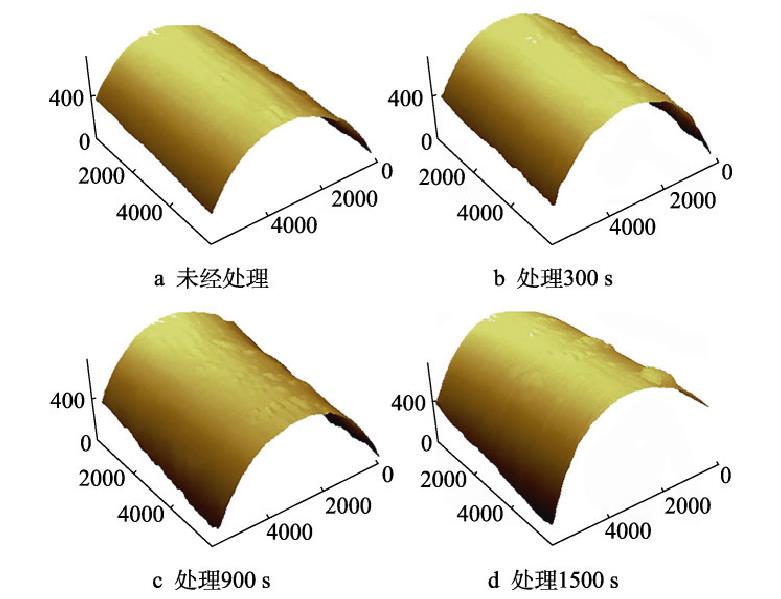 不同等离子体处理时间碳纤维的AFM图像