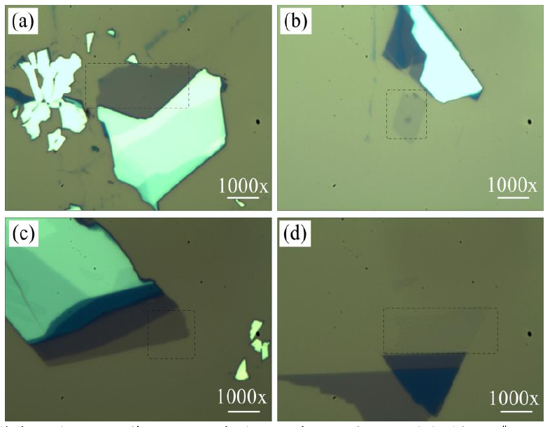 图 3.3 低温氧等离子体处理后单层 M o S 2 薄膜的光学显微镜图。（a）样品 1 # 的光镜图，（b）样 品 2 # 处理 1 0 s 的光镜图，（ c）样品 3 # 处理 2 0 s 的光镜图和（ d）样品 4 # 处理 4 0 s 的光镜图。