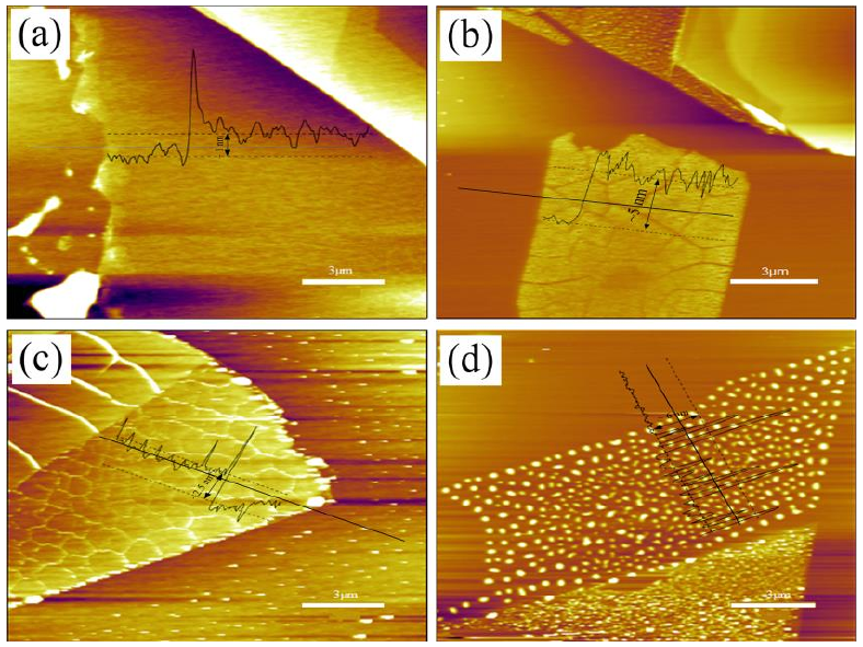图 3.5 低温氧等离子体处理后单层 M o S 2 薄膜形貌图。（a）样品 1 # 的厚度~ 1 nm；（ b）样品 2 # 的厚度~ 5 nm；（ c）样品 3 # 的厚度~ 3.5 nm；（ d）样品 4 # 的厚度~ 6 nm。