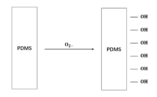 氧等离子处理PDMS示意图