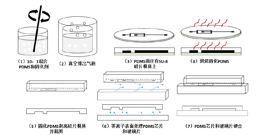 PDMS微流控芯片制作步骤